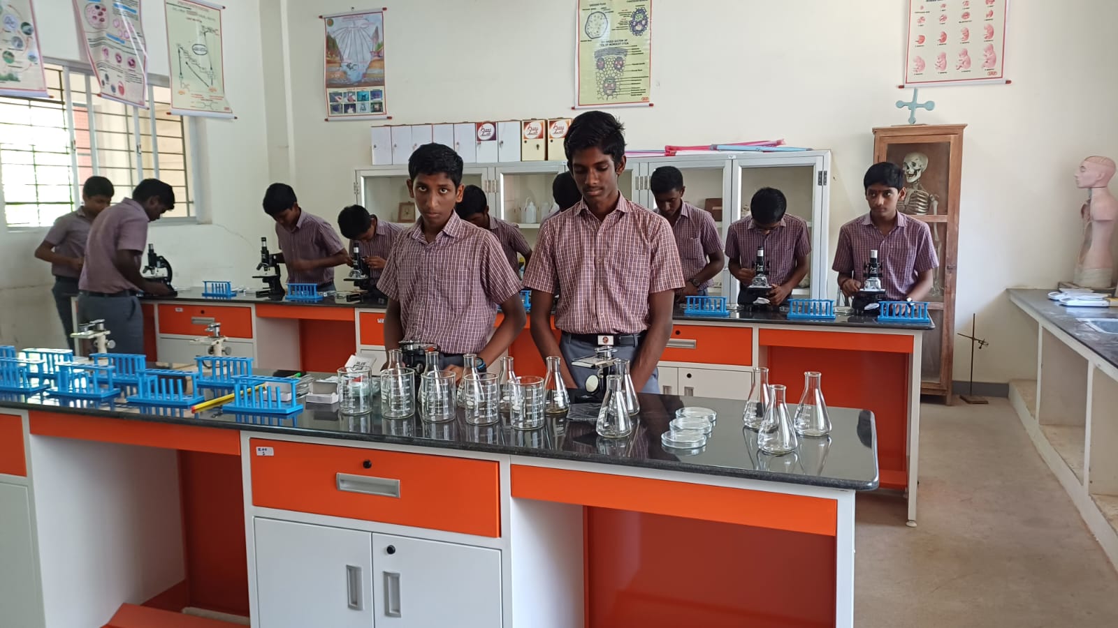 Laboratory Image 5